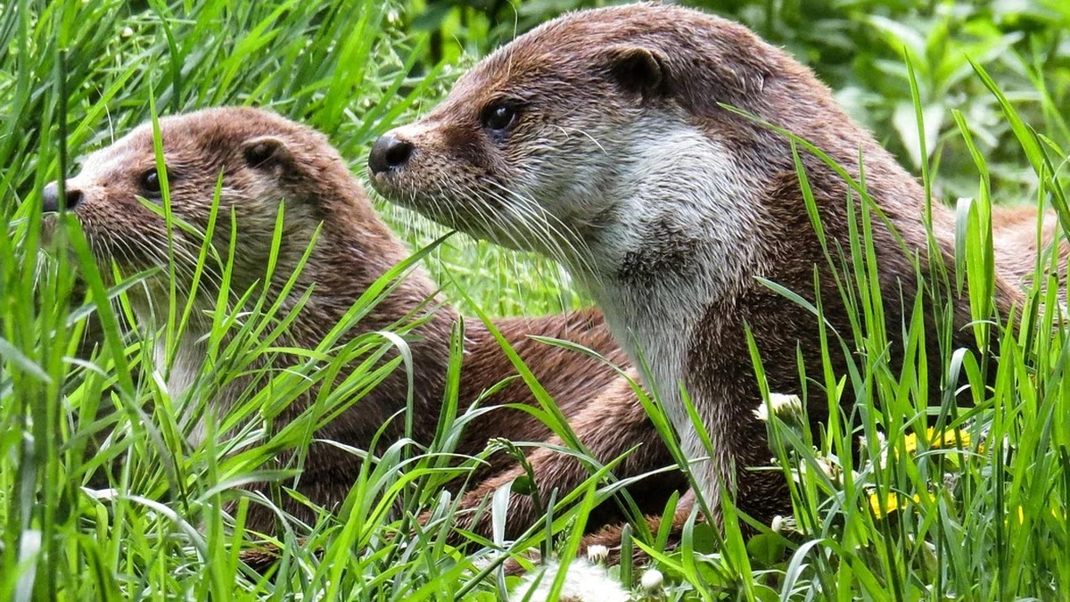 오피스텔 임대수익률 계산 시 고려해야 할 비용 항목