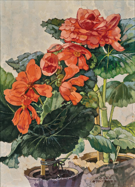 Orange Begonien 1940