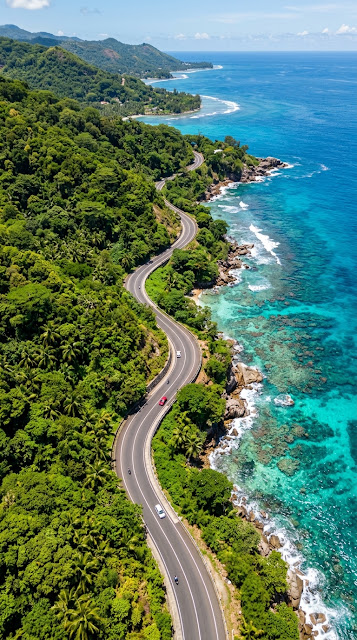 Aerial View Tropical Coastal Road Top-Down - Free mobile Wallpaper