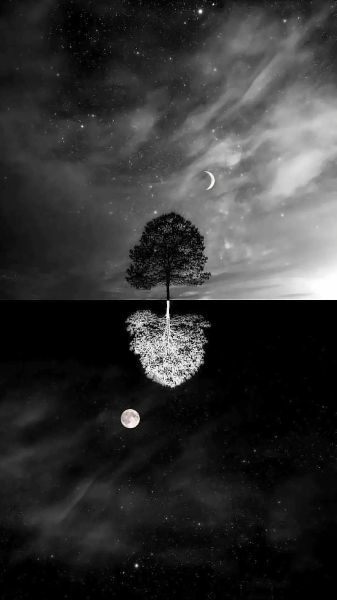 Monochrome Tree Reflection Under Dual Moon Night Sky - Free 4K mobile Wallpaper