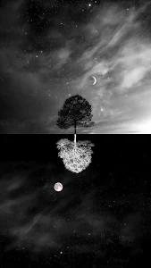 Monochrome Tree Reflection Under Dual Moon Night Sky