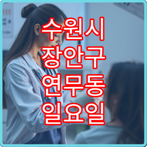 수원시 장안구 연무동 일요일 피부과 진료 병원 정리