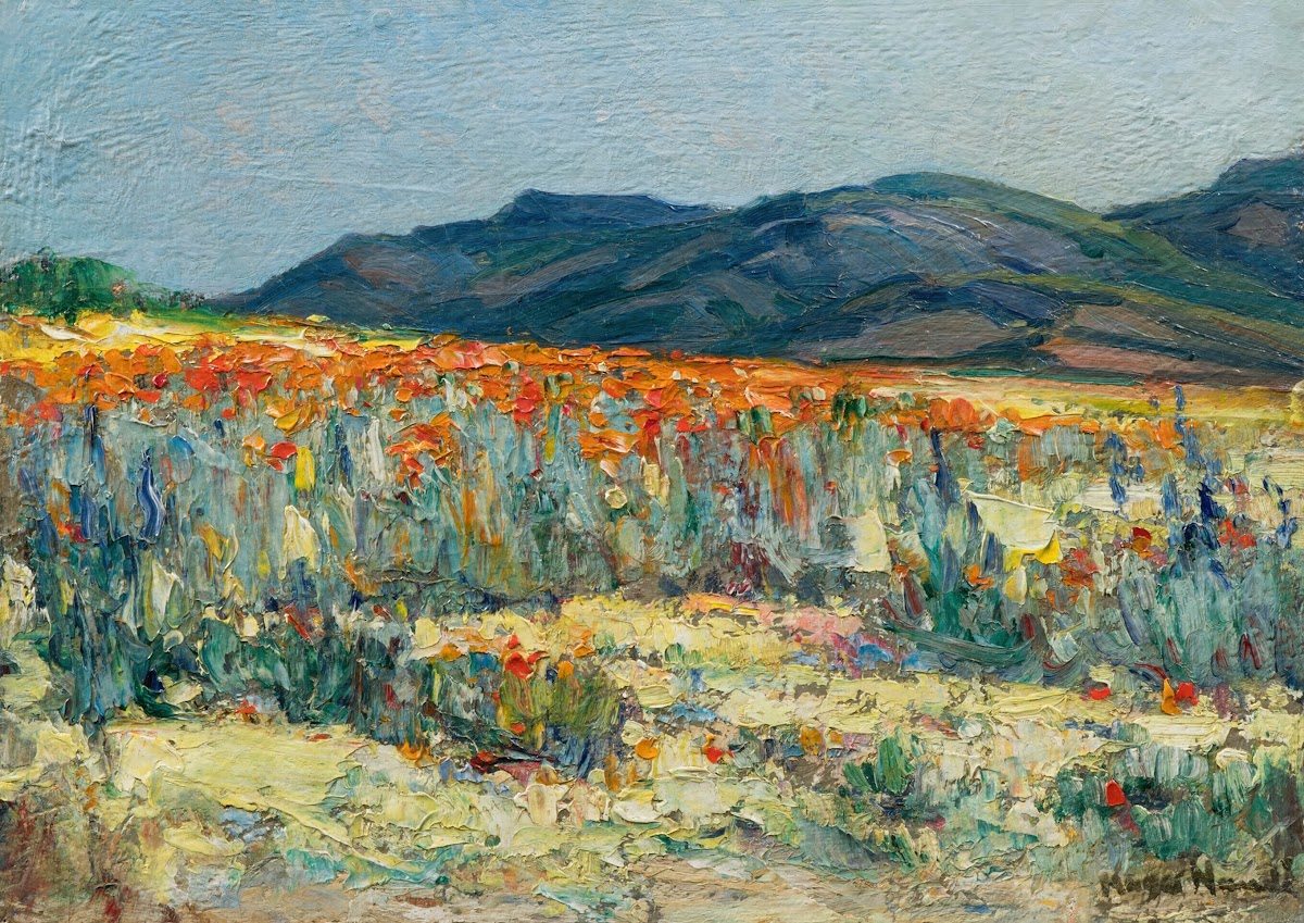 Springtime Namaqualand