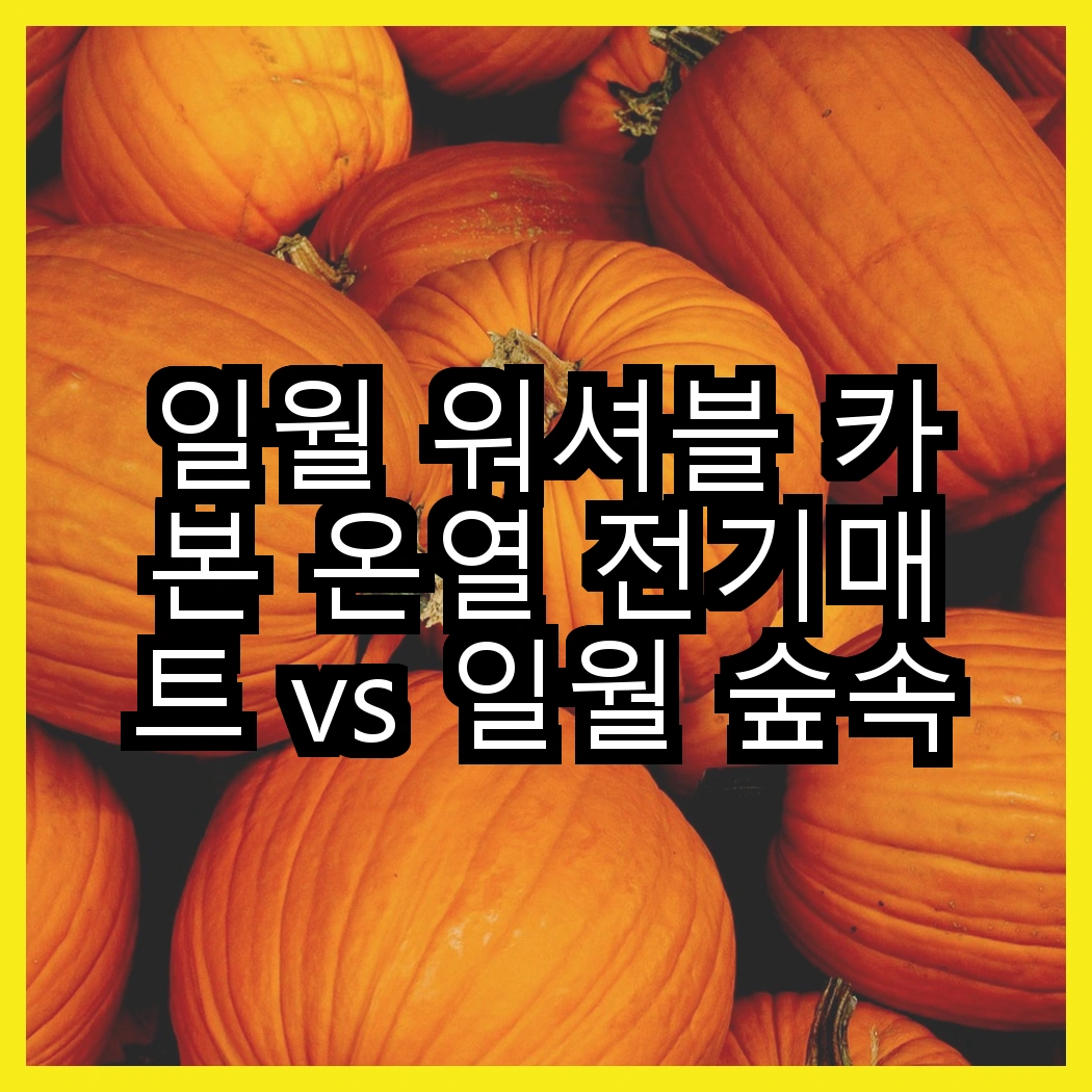 일월 워셔블 카본 온열 전기매트 vs 일월 숲속애 온수매트, 어떤 매트가 더 따뜻할까? 썸네일