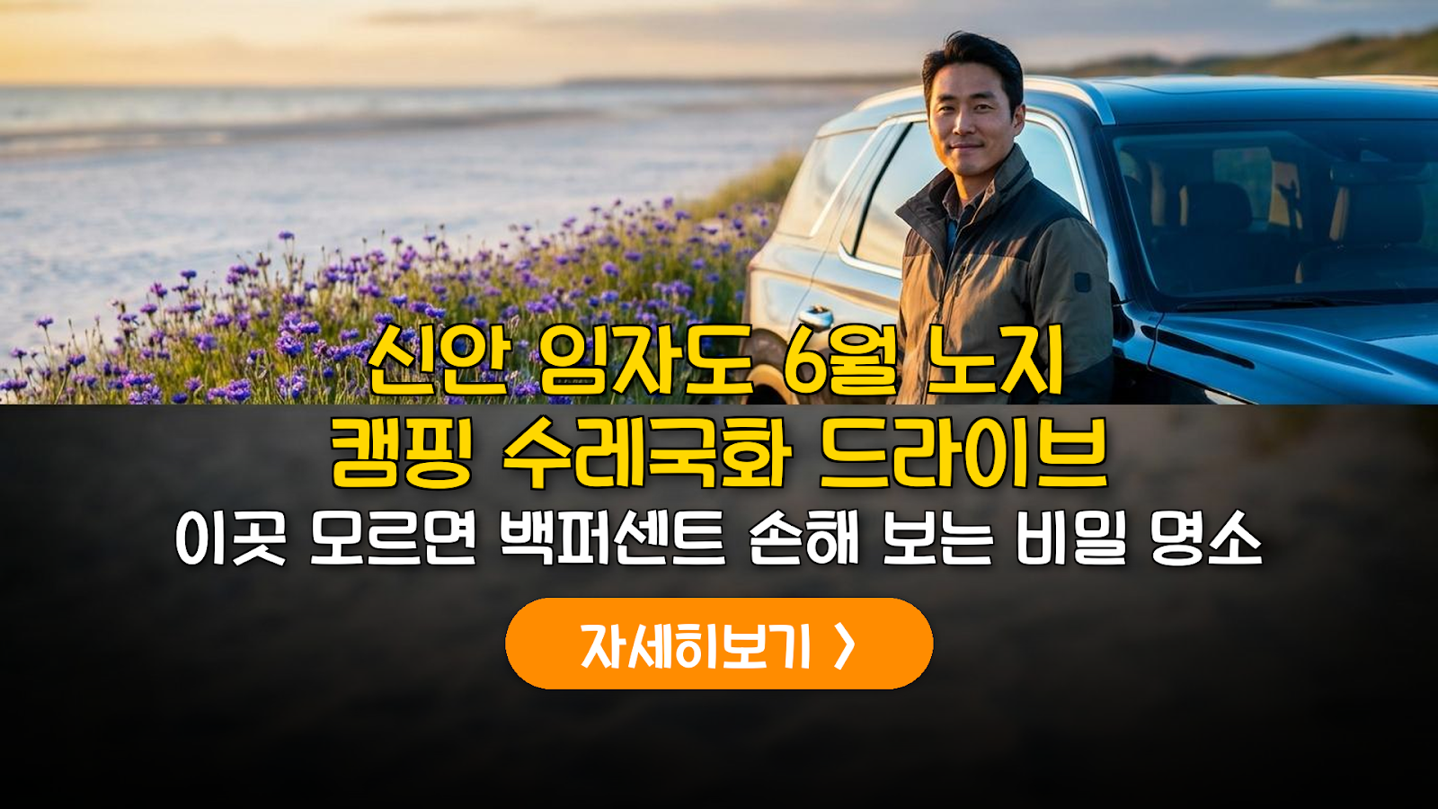 6월 신안 임자도 노지 캠핑 & 수레국화 드라이브 가이드
