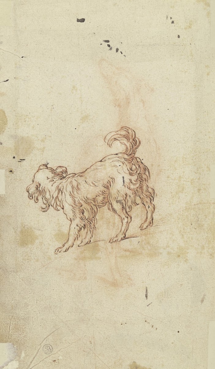 Study sheet two dogs