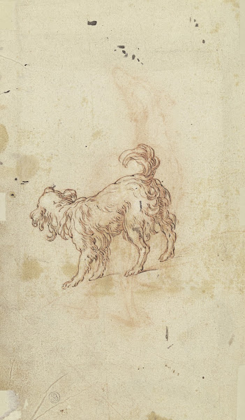 Study sheet two dogs