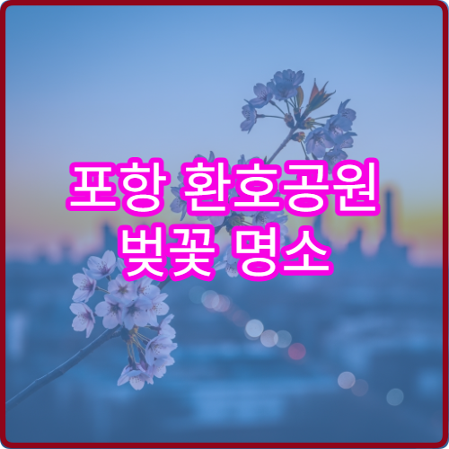 포항 환호공원 벚꽃 명소 평일vs주말 솔직 후기 비교 분석 공유