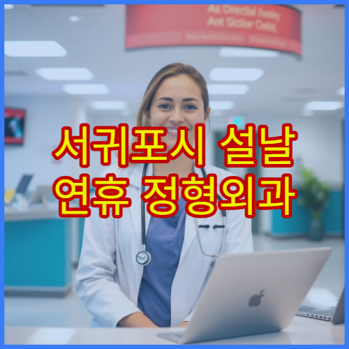 서귀포시 설날 연휴 정형외과 진료 병원 한눈 정리