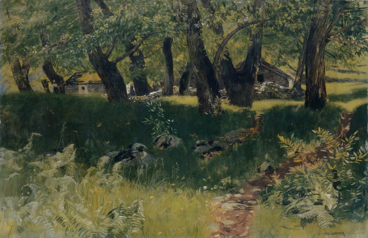 Chestnut Forest near Bignasco 1896