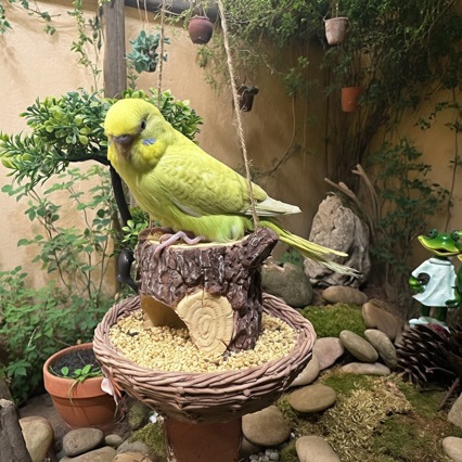 Hanging tree stump bird bath made of resin