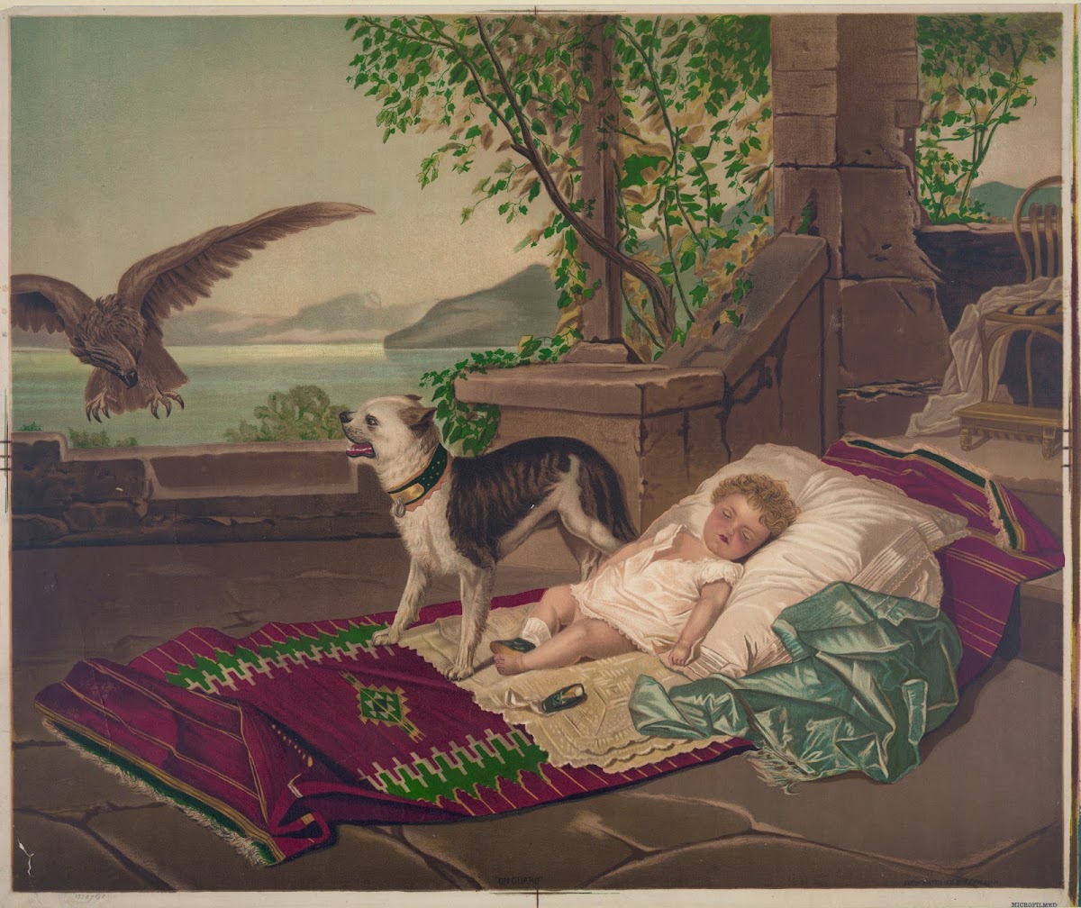 On guard 1878