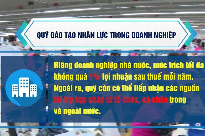 [Video] Đề xuất thành lập Quỹ đào tạo nhân lực trong doanh nghiệp - Báo Nhân Dân