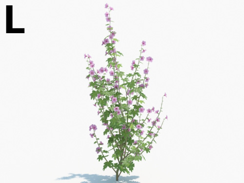 Maxtree - Plant Models Vol.3