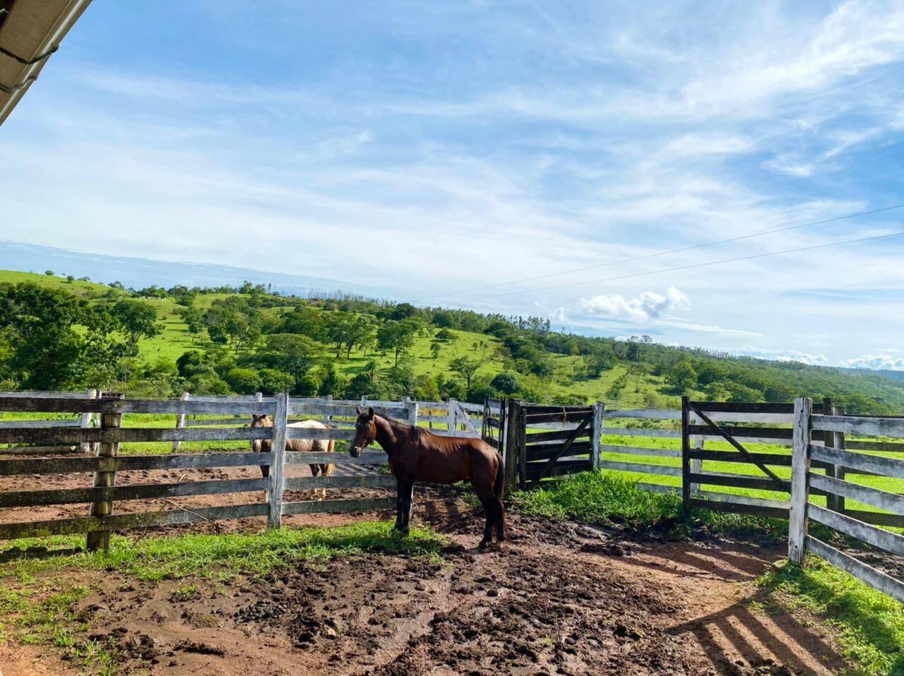 Fazenda em Alexânia-GO 3