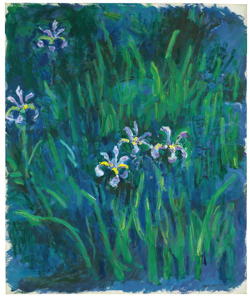 Iris