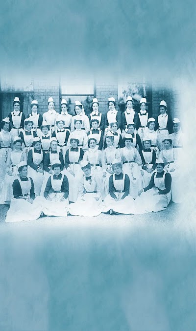 Mental Health Nursing the Working Lives of Paid Carers in the Nineteenth and Twentieth Centuries
