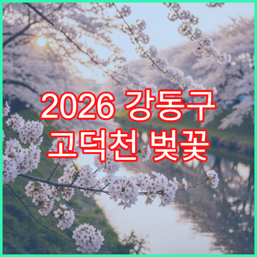 2026 강동구 고덕천 벚꽃 터널 정확한 만개 일정과 야경 시간