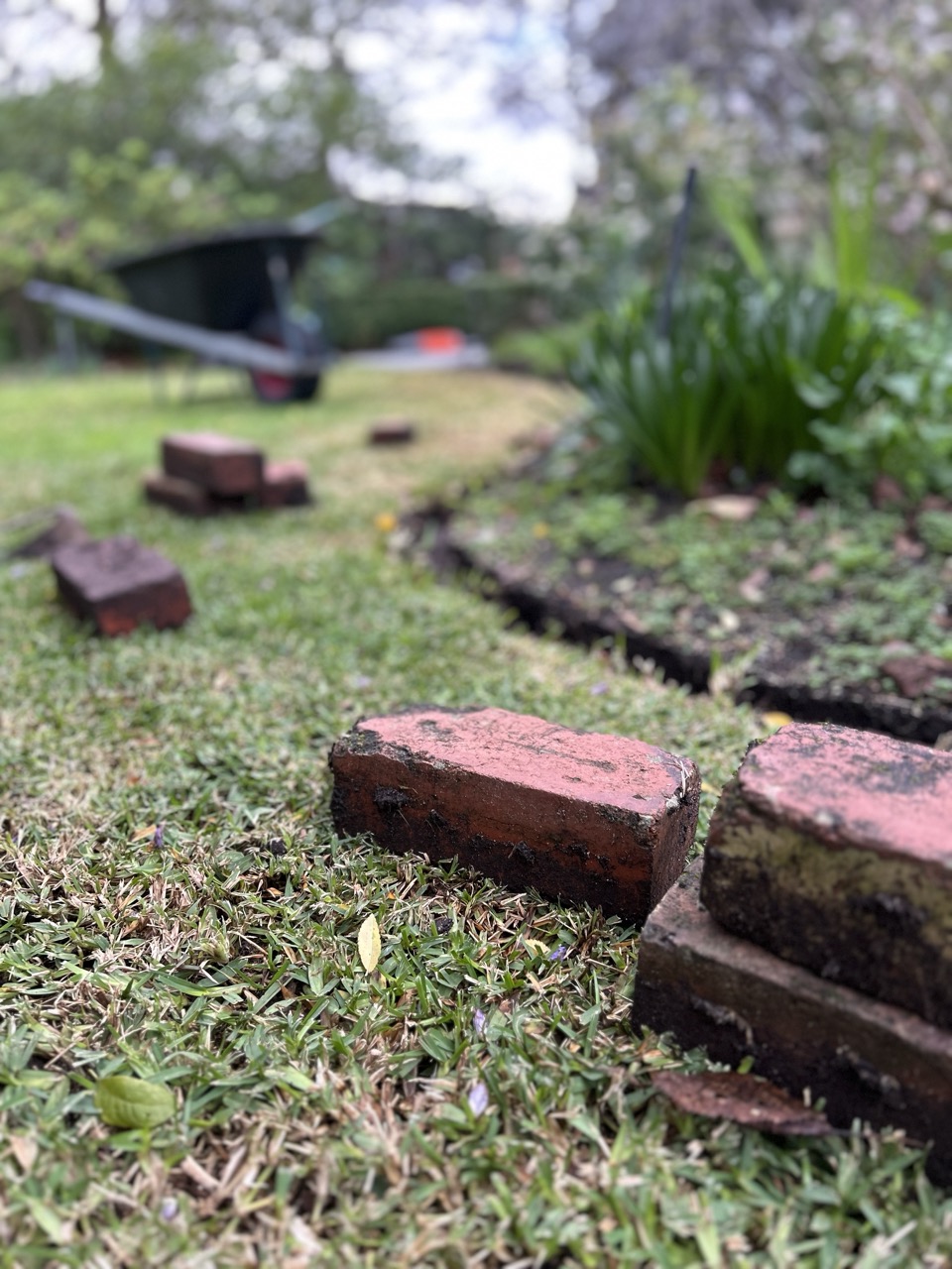 Brick edging removed