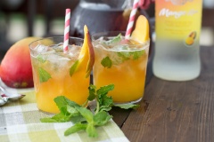 Với mỗi 2 phần thức uống bạn cho vào dụng cụ trộn cocktail gồm: 60g xoài xay, 45ml rượu rum, 30ml nước cốt chanh, 30g mật ong, 90ml nước trà đá, 2-3 lá bạc hà, ít đá viên, lắc đều rồi rót ra ly thường thức nhé!