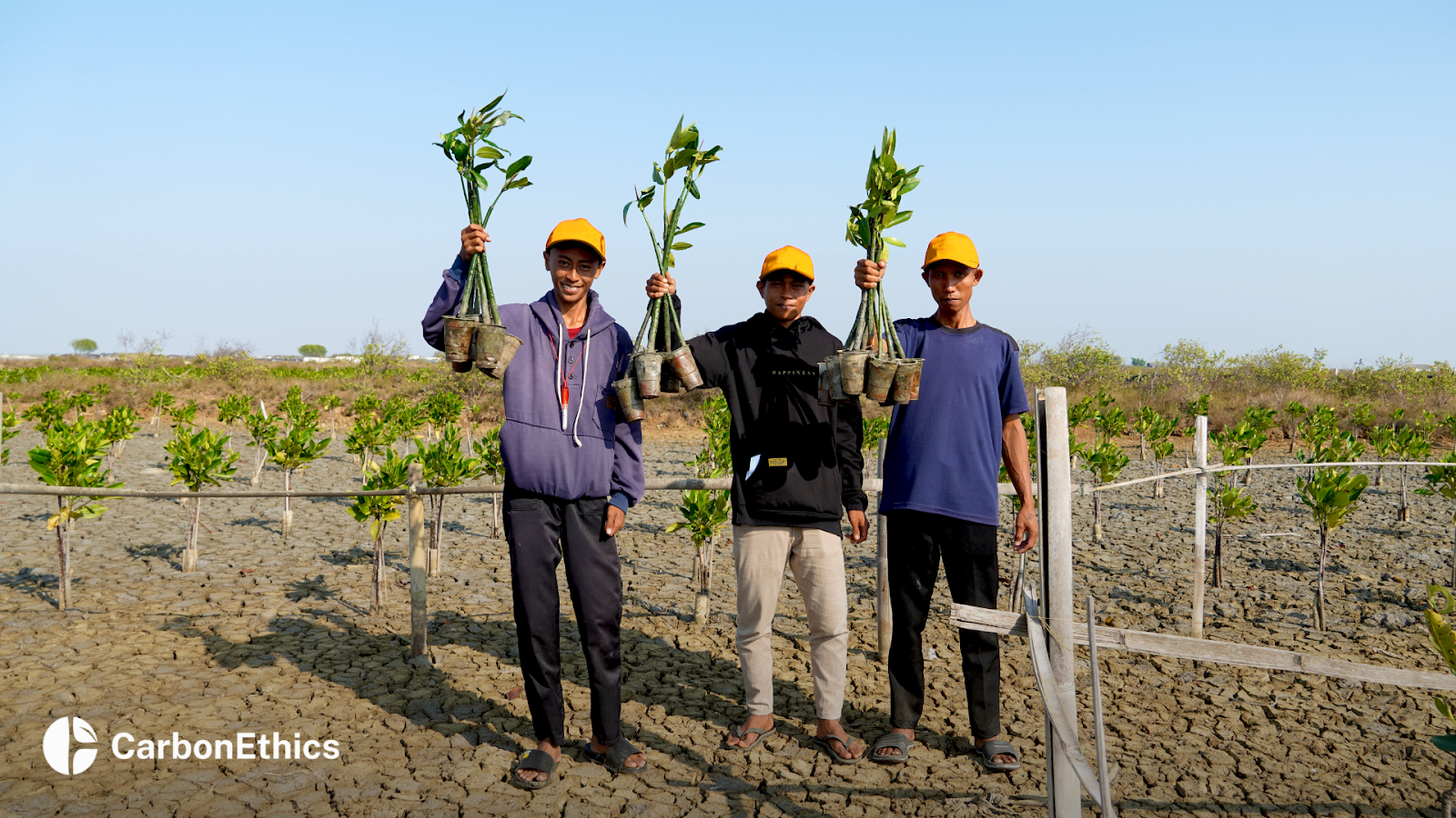 Indonesia Net-Zero Summit (INZS) 2024, organized by the Foreign Policy Community of Indonesia (FPCI), initiated the planting of 500 mangroves