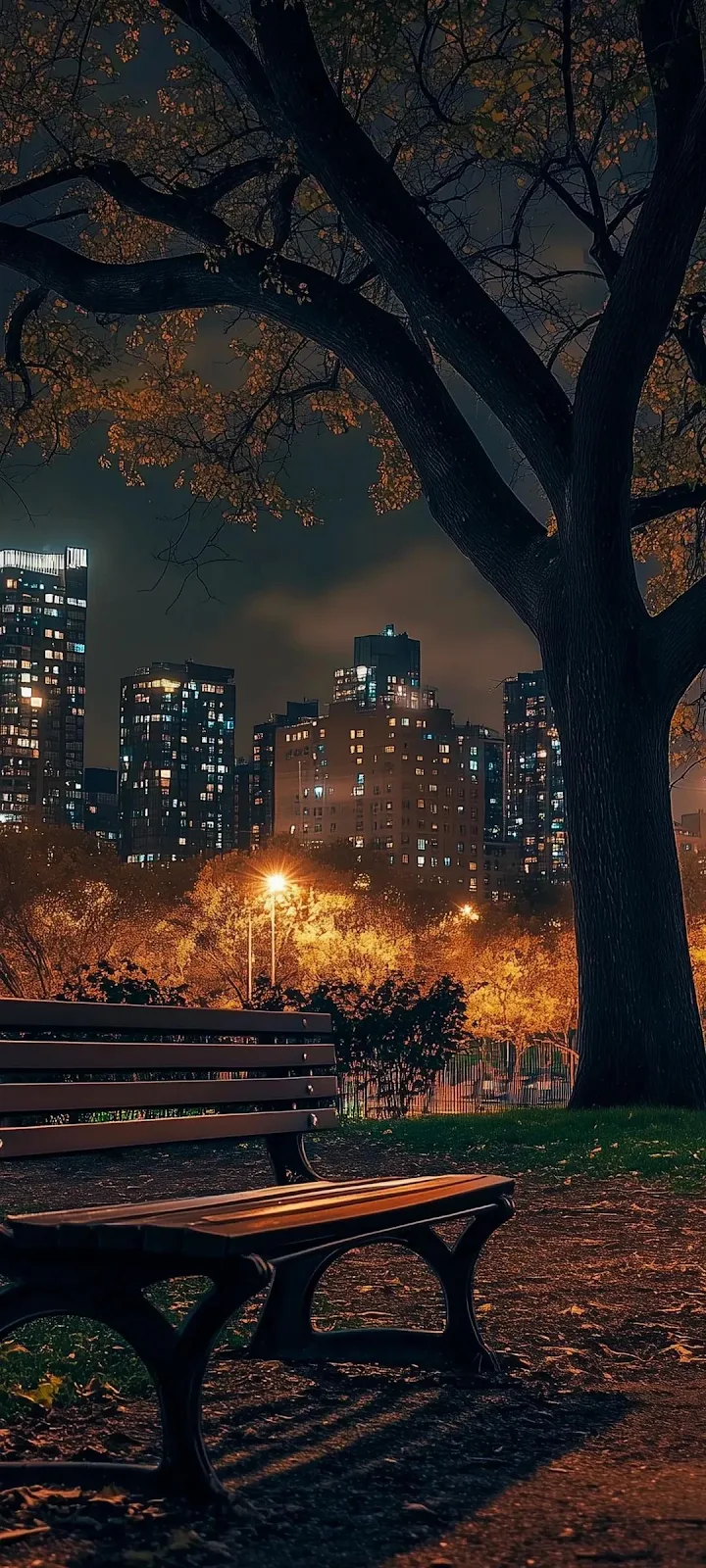Empty Park Bench At Night - Night Urban Photography Full HD iPhone Wallpaper (1080x2400)