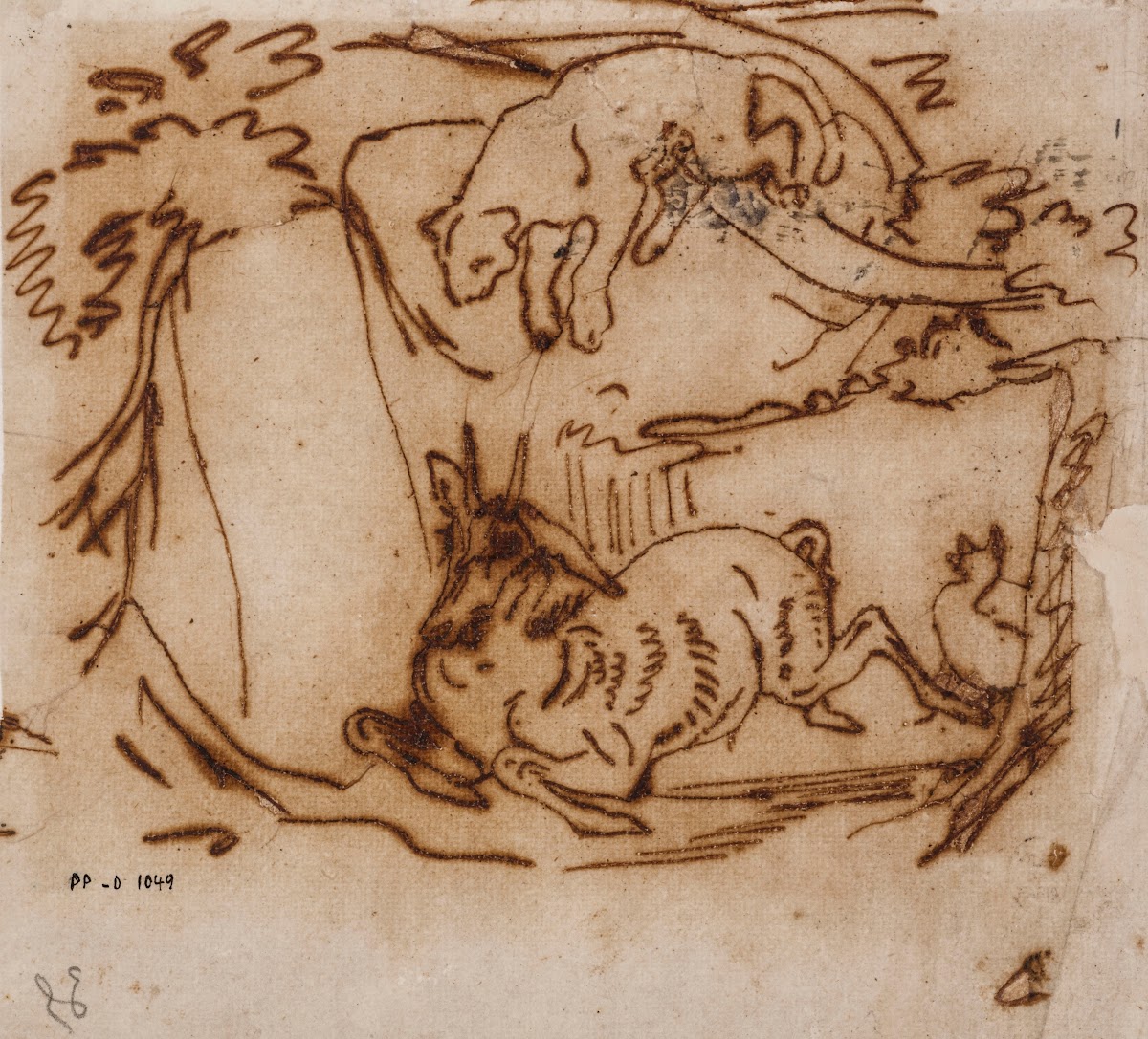 Jaguar guettant une antilope 19th century