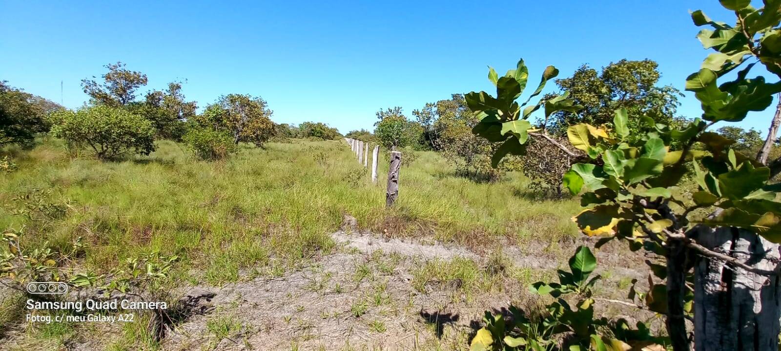 Fazenda em Agua Boa-MT 7