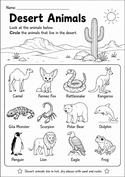 Desert Animals