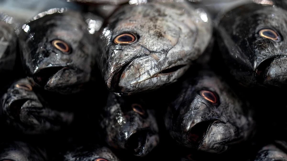 글로벌 무역 분쟁이 원자재 가격 구조에 미치는 영향 메커니즘