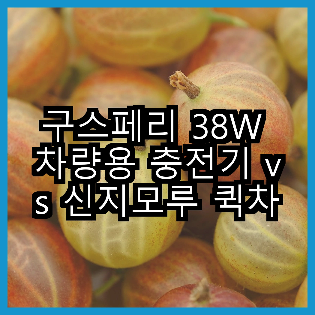 구스페리 38W 차량용 충전기 vs 신지모루 퀵차지 3.0, 어떤 충전기가 더 빠를까요? 썸네일