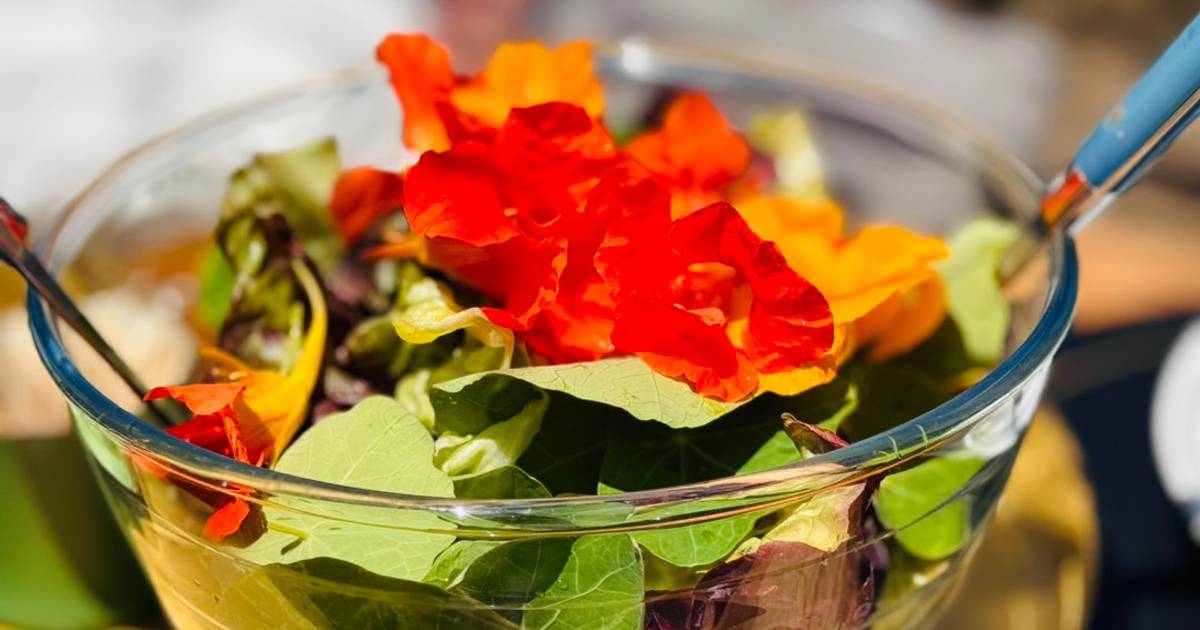 💚 Salad Lá & Hoa Sen Cạn