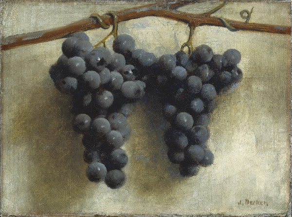 Grapes c 1890 1895