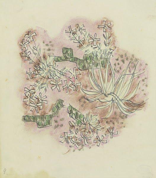 Study of plants 3