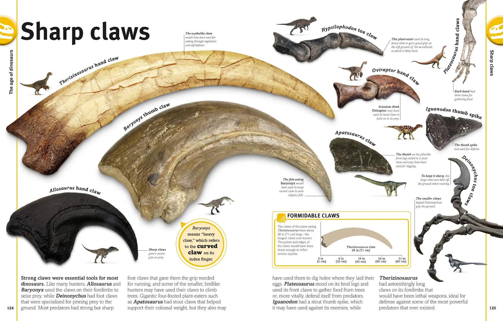 Our World in Pictures: The Dinosaur Book — gambar 5