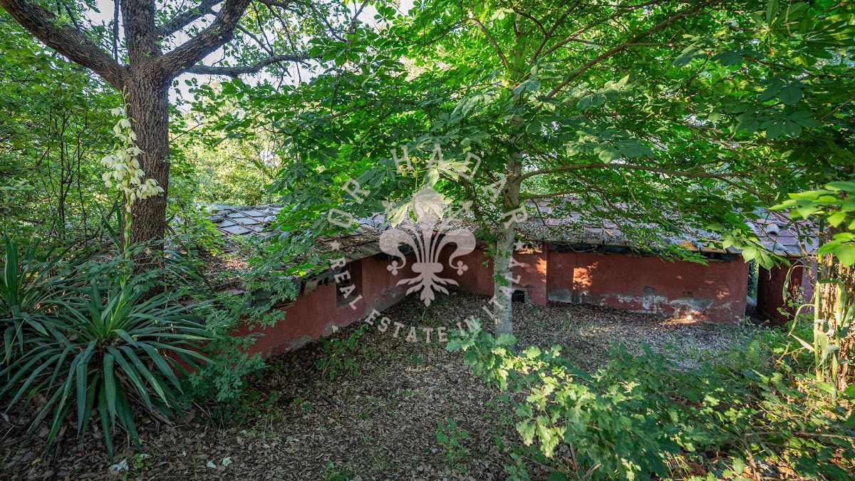 וילה אמרנטו (Villa Amaranto) — 42