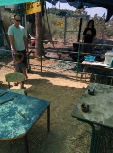 2016-08-26 11.39.50-2