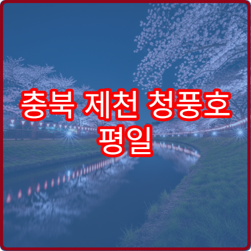 충북 제천 청풍호 평일 오전 10시 혼잡 완벽 피하는 방법