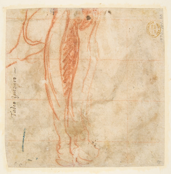 Sketch of a Leg 152966
