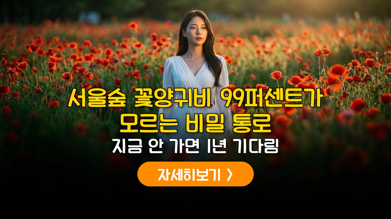 2026 서울숲 꽃양귀비 개화 분석 및 주차·촬영 가이드