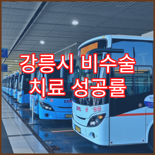 강릉시 비수술 치료 성공률 85% 이상 전문센터 비교 분석