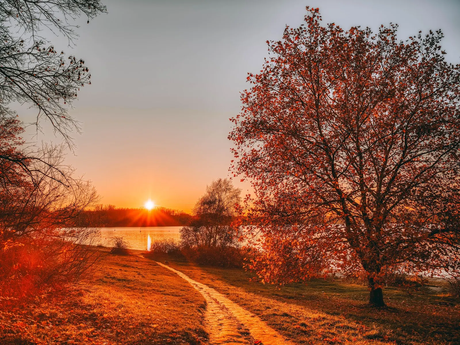 Golden Sunset Over Autumn Path - Landscape Photography 8K Wallpaper (8246x6186)