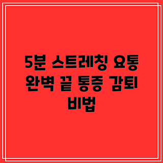 요통 치료, 요통 스트레칭, 허리 통증 완화, 스트레칭 가이드, 요통 예방