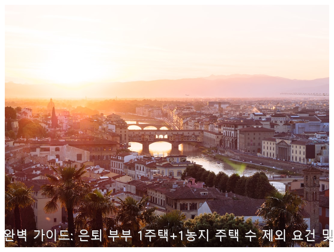 2026년 개정 세법 완벽 가이드: 은퇴 부부 1주택+1농지 주택 수 제외 요건 및 재산세 감면 혜택 핵심 안내 및 분석 인포그래픽 (8)