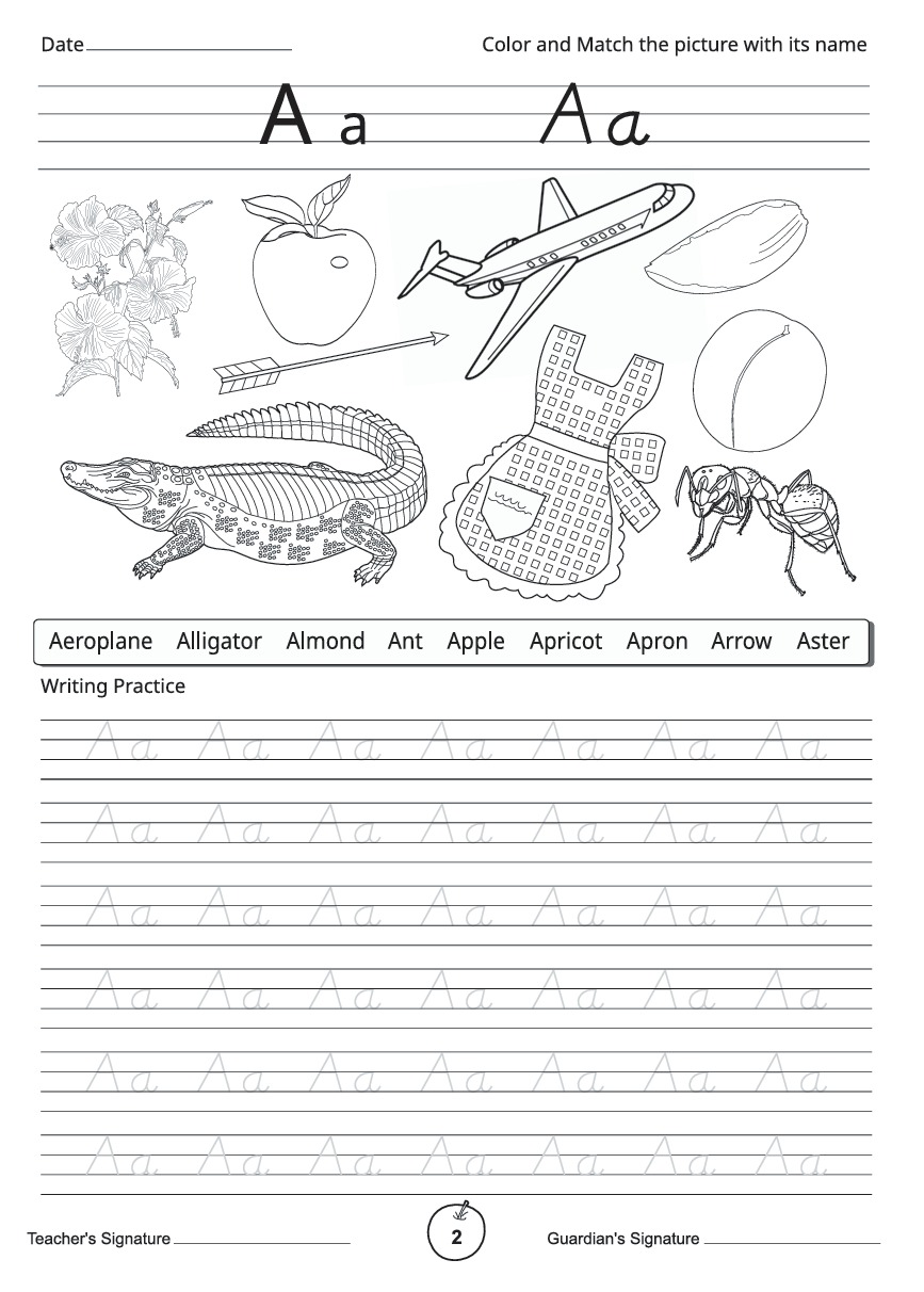 English Kids Class C : Work Book