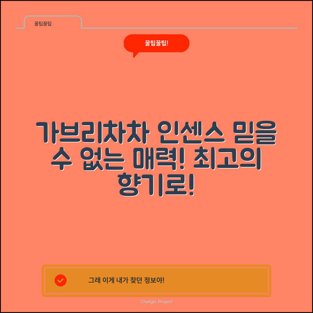 믿을 수 없는 가브리차차인센스의 매력