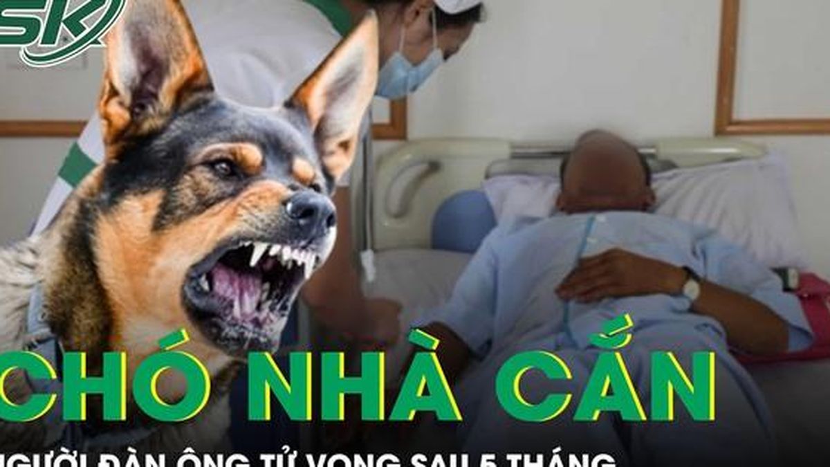 Người đàn ông ra đi trong đau xót vì bệnh dại sau 5 tháng bị chó nhà cắn - Báo Sức Khỏe &amp; Đời Sống