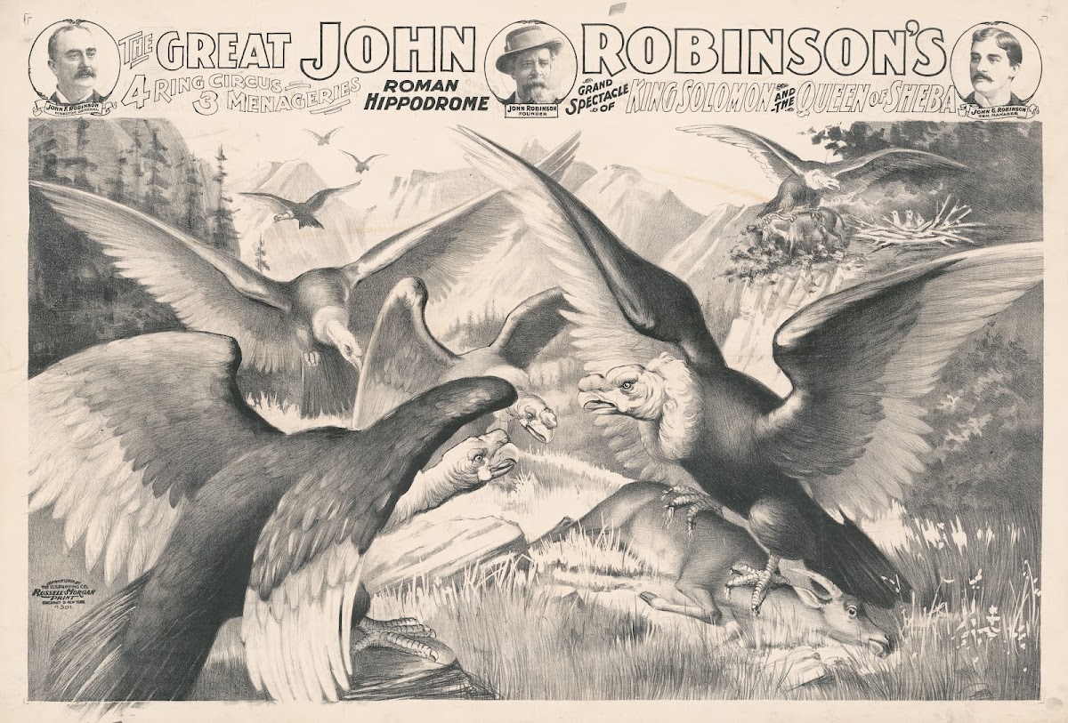 The great John Robinsons 4 ring circus 3 menageries Roman hippodrome King Solomo