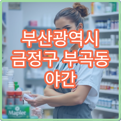 부산광역시 금정구 부곡동 야간 약국 밤늦게 이용