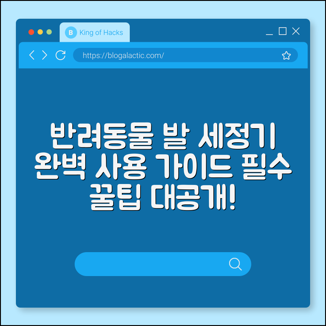 반려동물 발 세정기 완벽 가이드